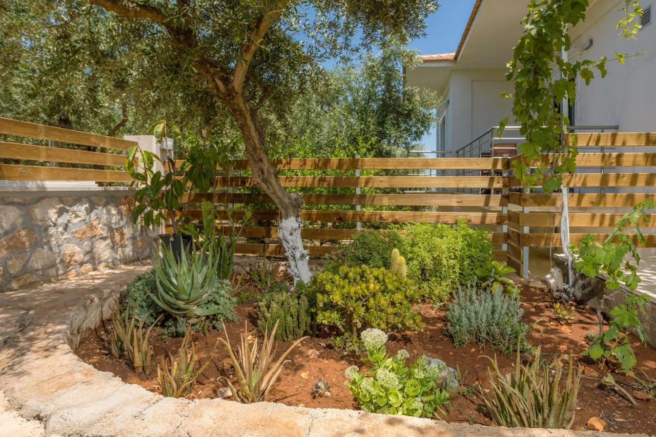 Villa Serenity Agia Marina  외부 사진